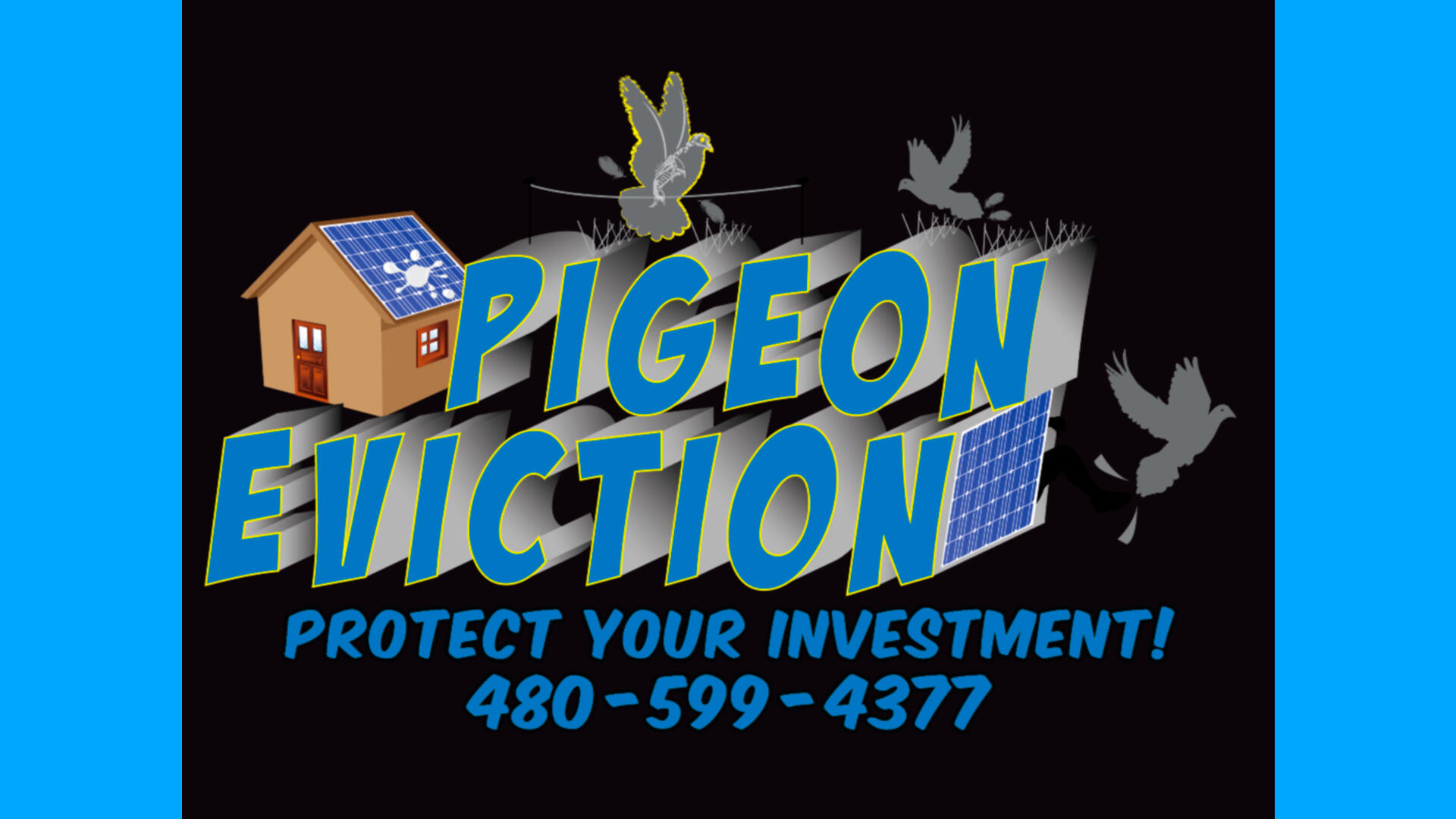 Gilbert pigeon removal solutions/pigeon eviction Bird control